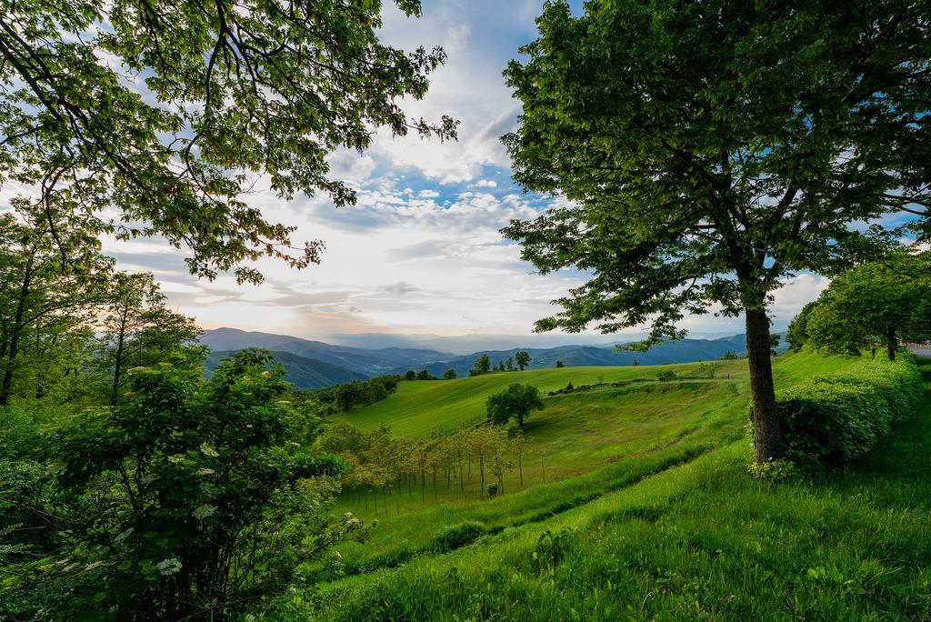 Agriturismo Casapasserini Londa Kültér fotó
