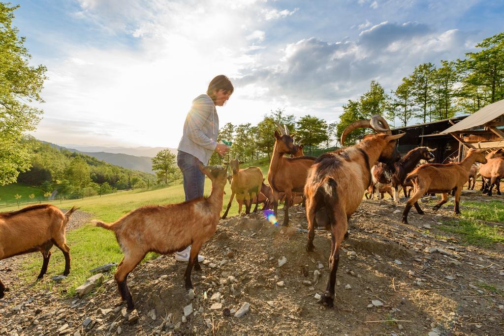 Agriturismo Casapasserini Londa Kültér fotó
