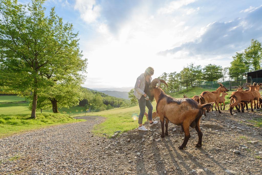Agriturismo Casapasserini Londa Kültér fotó